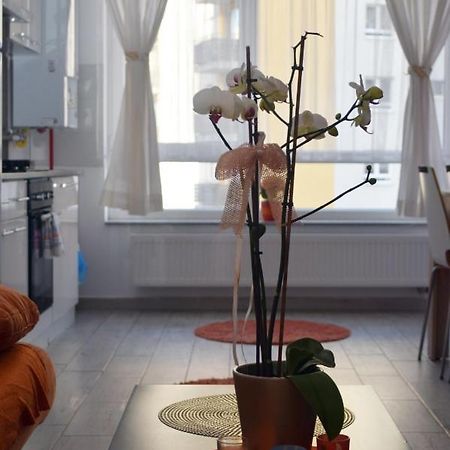 Aki Studio Apartamento Braşov Exterior foto